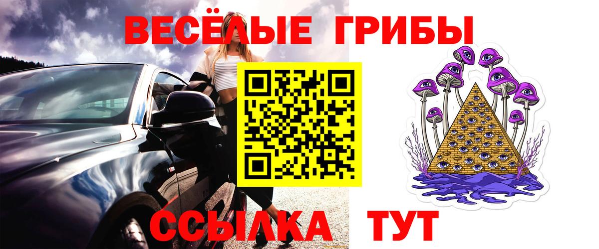 Псилоцибиновые грибы мицелий Клинцы