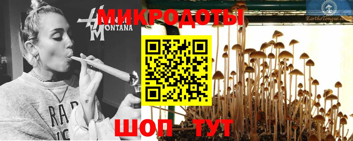 Клинцы  Галлюциногенные грибы MAGIC MUSHROOMS  Галлюциногенные грибы Magic Shrooms  Вход с VPN 
